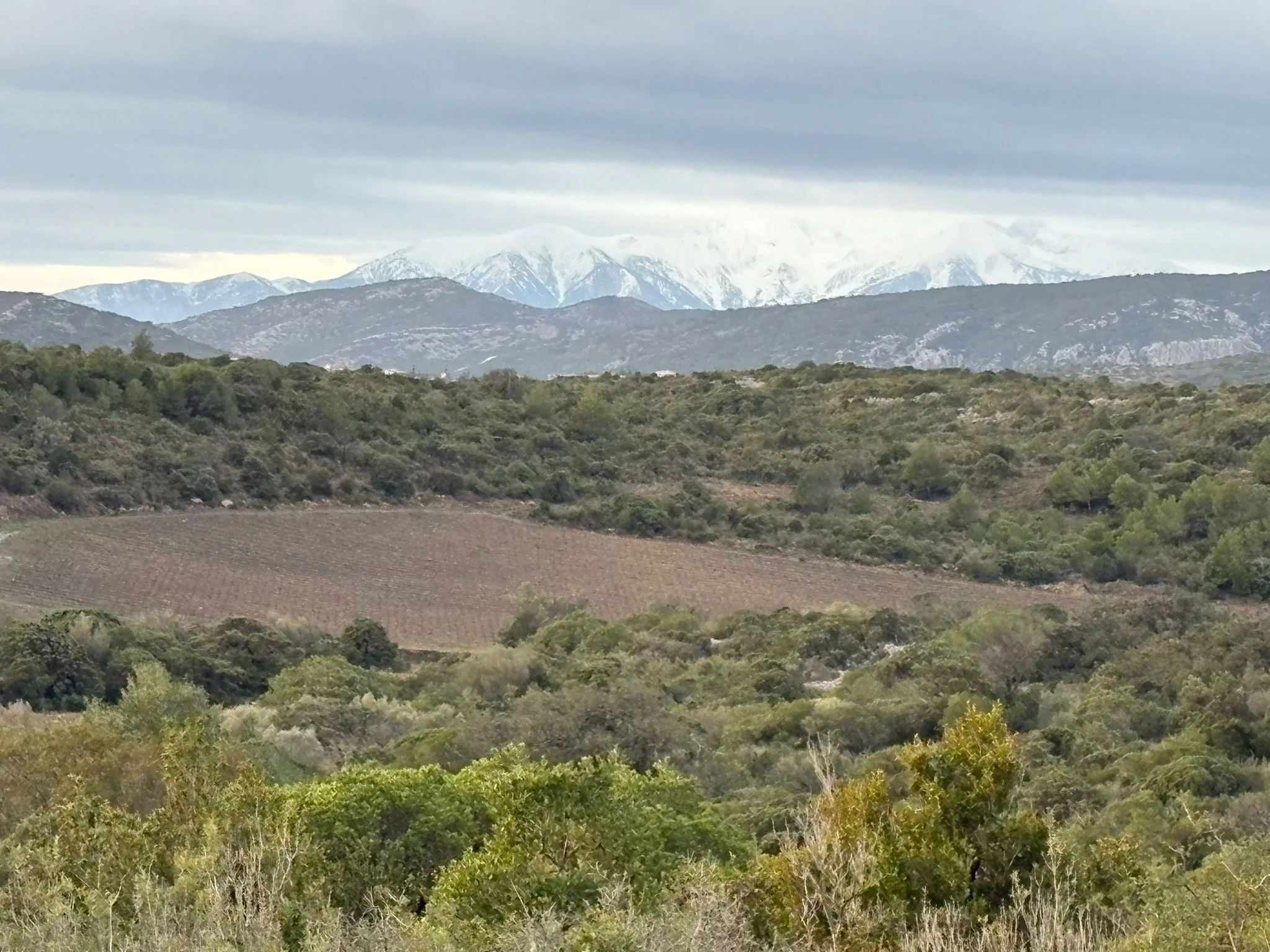 Le massif enneigé du Canigou vu depuis le territoire catalan