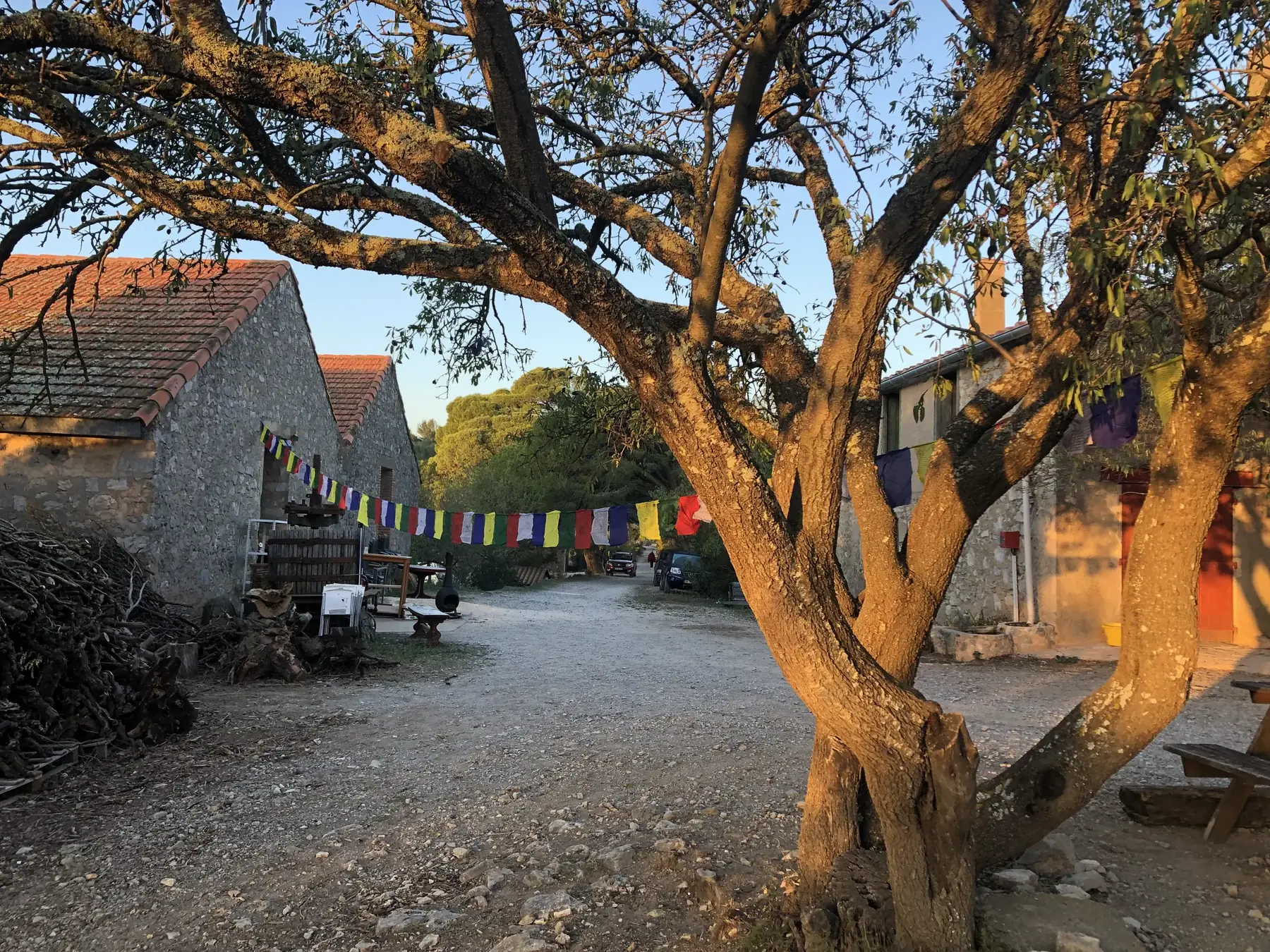 Grande cour arborée de l’Écodomaine de la Belle Auriole